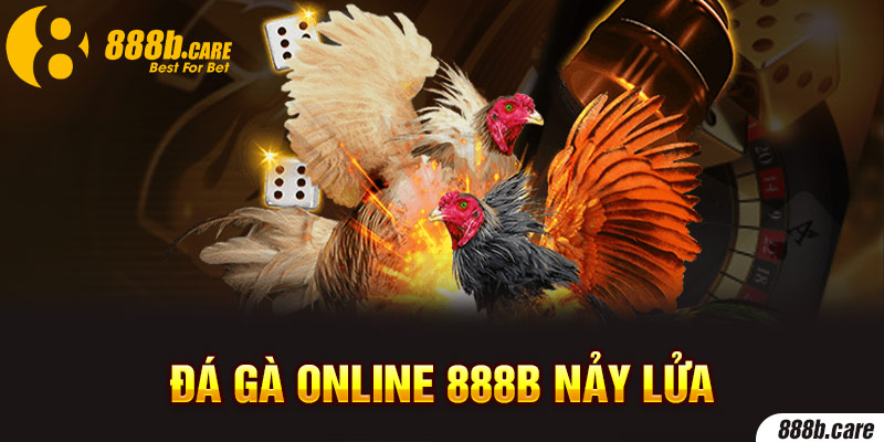 Đá gà 888b nảy lửa